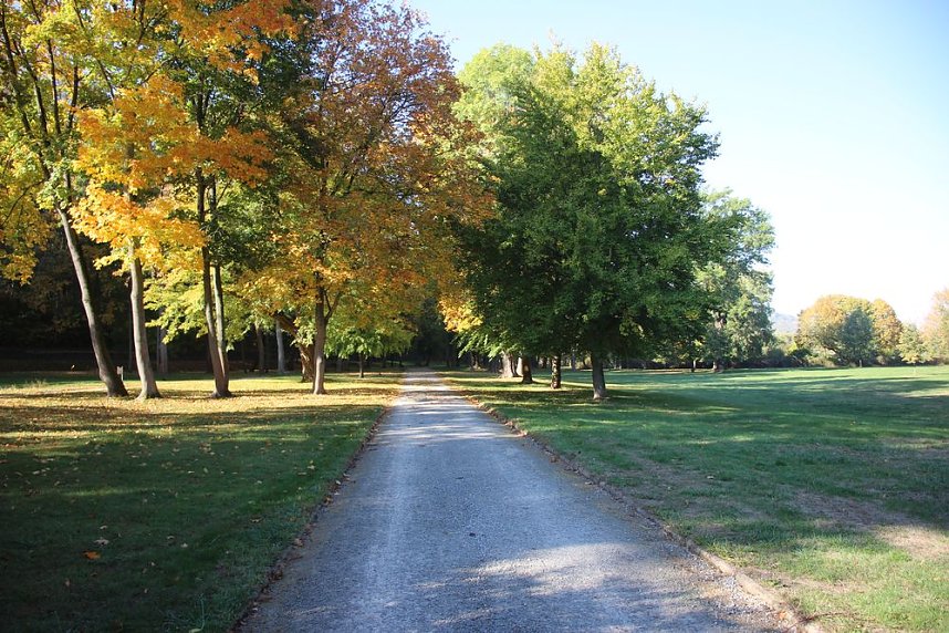 Wie weiter mit dem Schlosspark Sondershausen?
