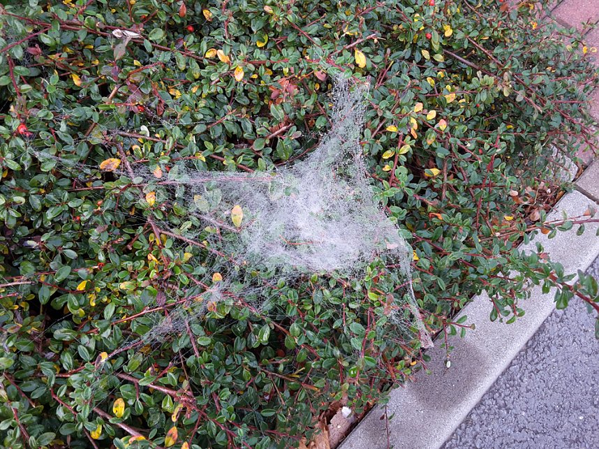 Es gibt unbelehrbare B&uuml;rger