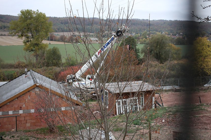 Neue Unterkunft f&uuml;r Katzen
