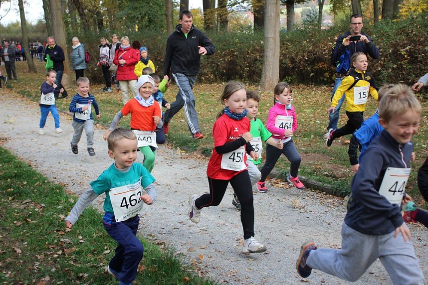 Stadtparklauf in Sondershausen (1)