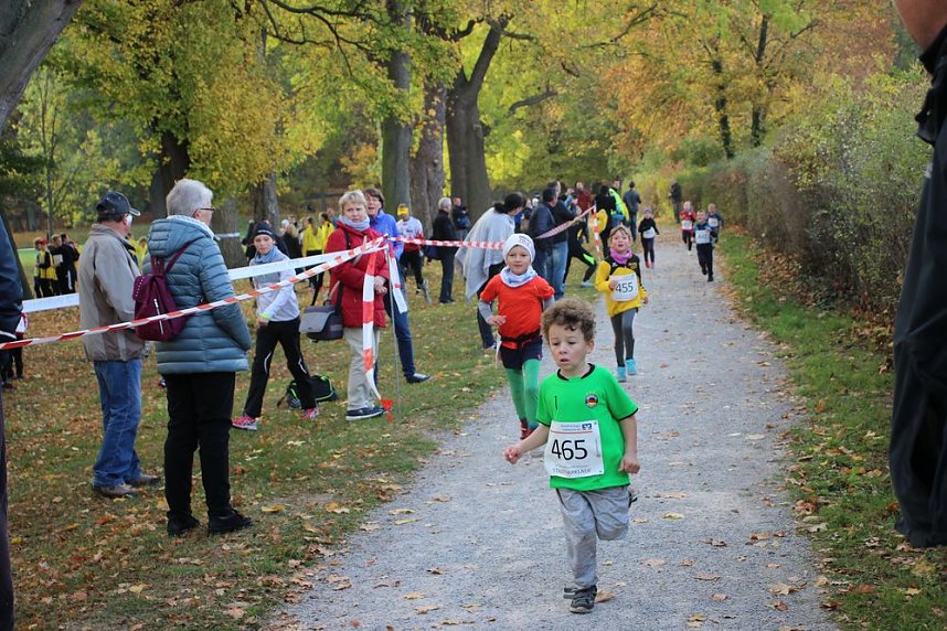 Stadtparklauf in Sondershausen (1)