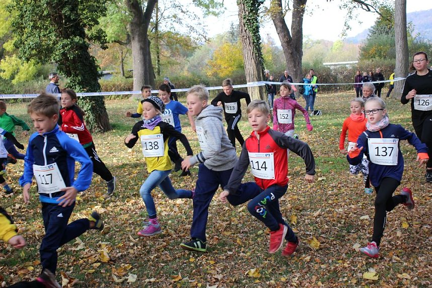 Stadtparklauf in Sondershausen (2)