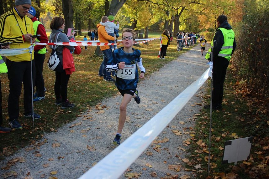 Stadtparklauf in Sondershausen (2)