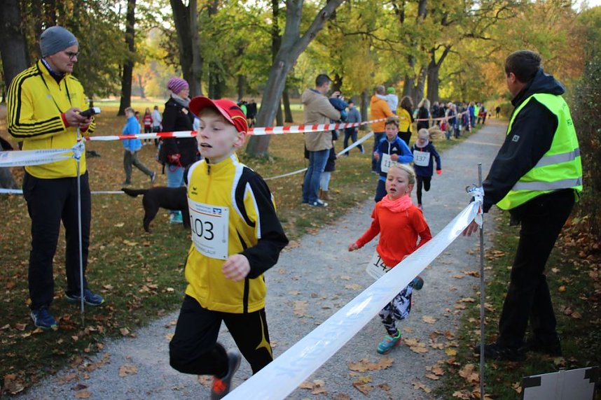 Stadtparklauf in Sondershausen (2)