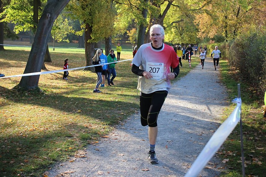 Stadtparklauf in Sondershausen (2)