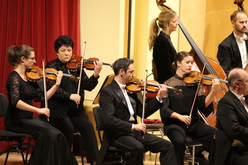 Virtuos am Kontrabass