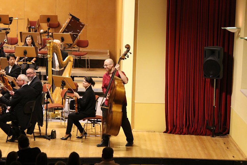 Virtuos am Kontrabass