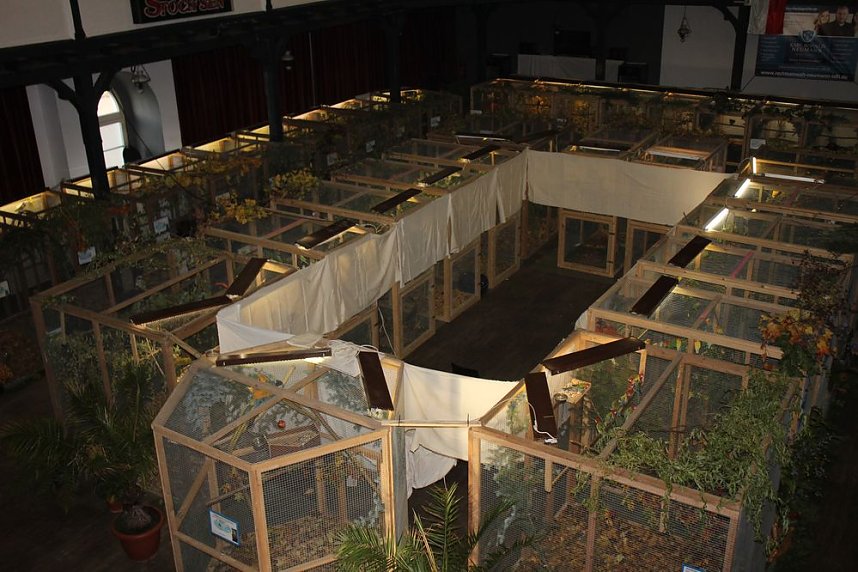 50 Jahre Ziergefl&uuml;gelausstellung in Sondershausen