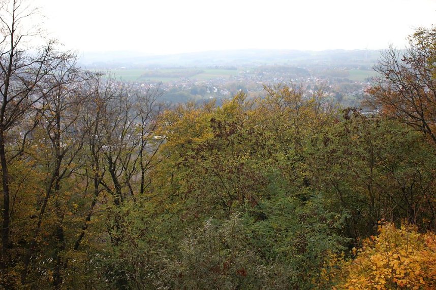 Mehr als nur ein Erfahrungsaustausch