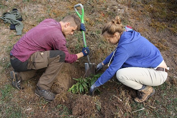 2. Aktionstag Pflege