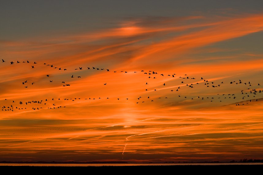 Vortragsabend im Regionalmuseum