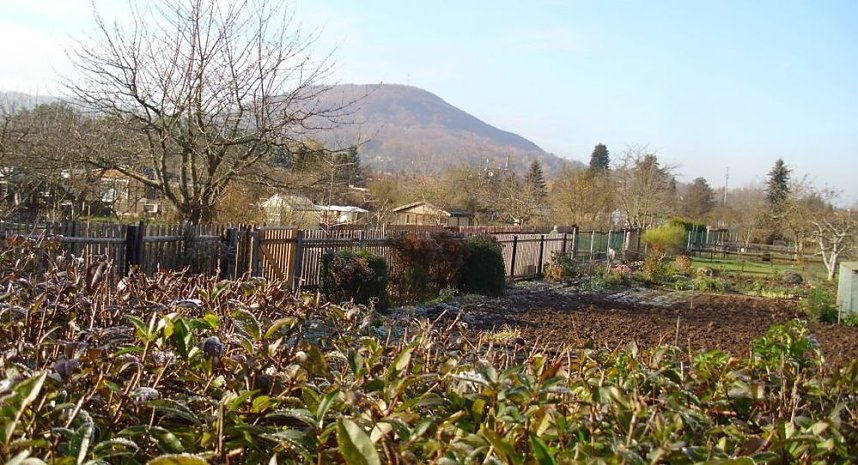 Frostige Garten-Impressionen