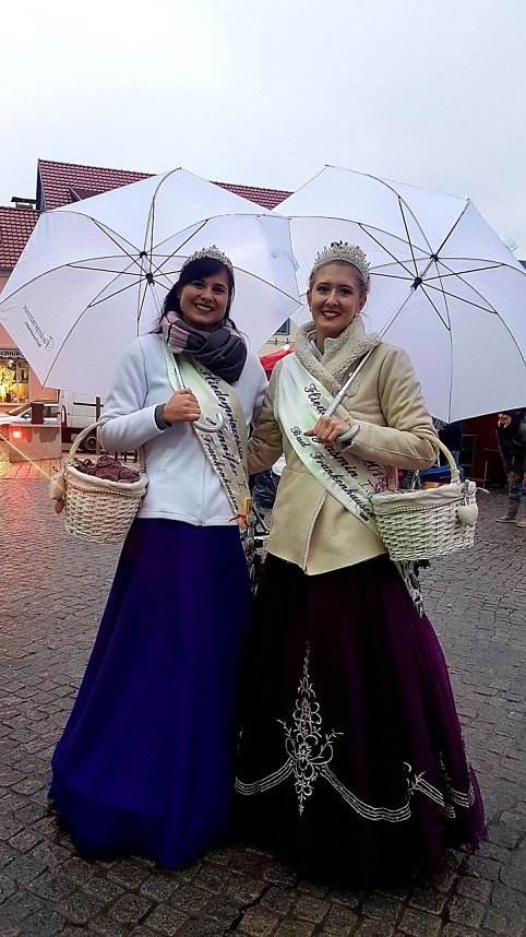 Gut besuchter Weihnachtsmarktstart