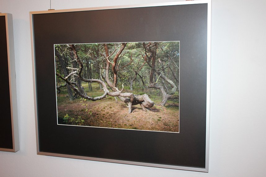 11. Landesfotoschau Th&uuml;ringens 2018 macht Station