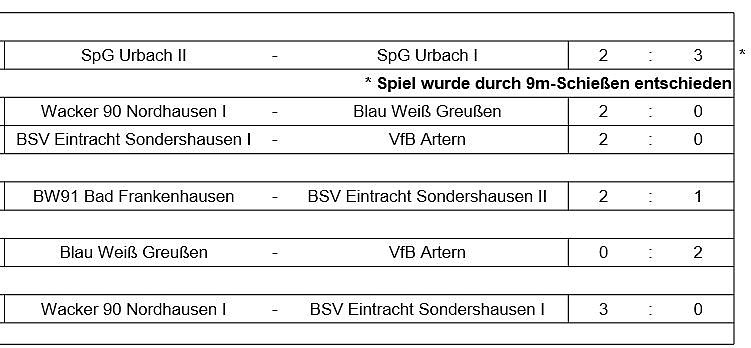 Hallenkreismeisterschaft der E-Junioren