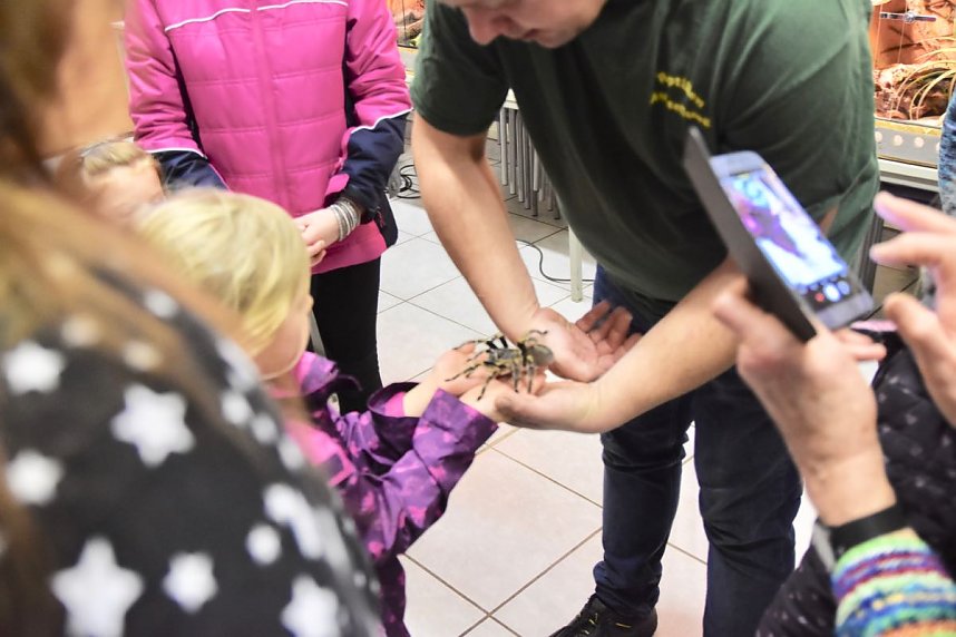 Reptilien Ausstellung