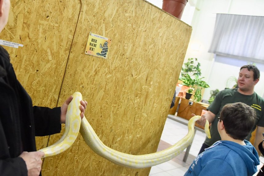 Reptilien Ausstellung