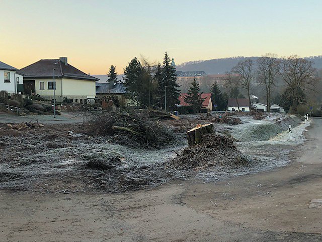 Thema Baumrodungen in Sondershausen