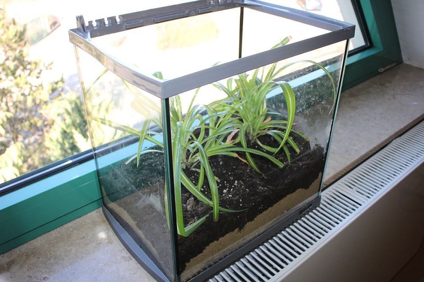 Raum f&uuml;r kleine Forscher