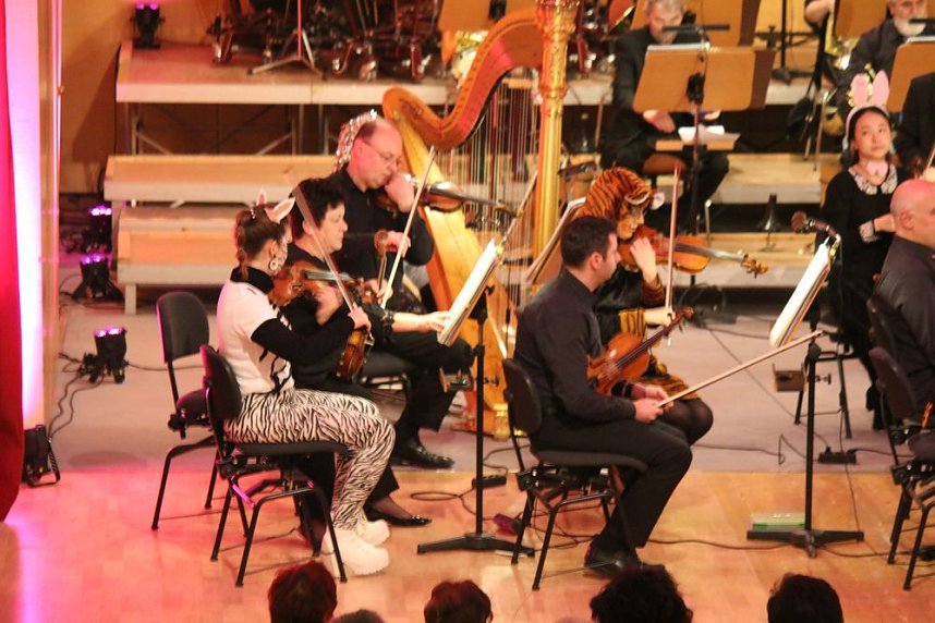 Hier ging es tierisch zu