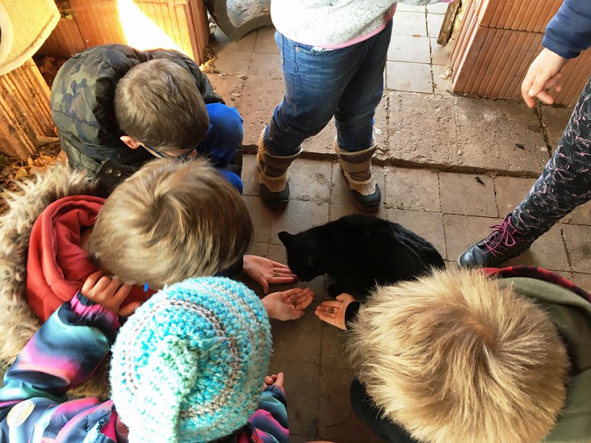 Der besondere Unterrichtsgang