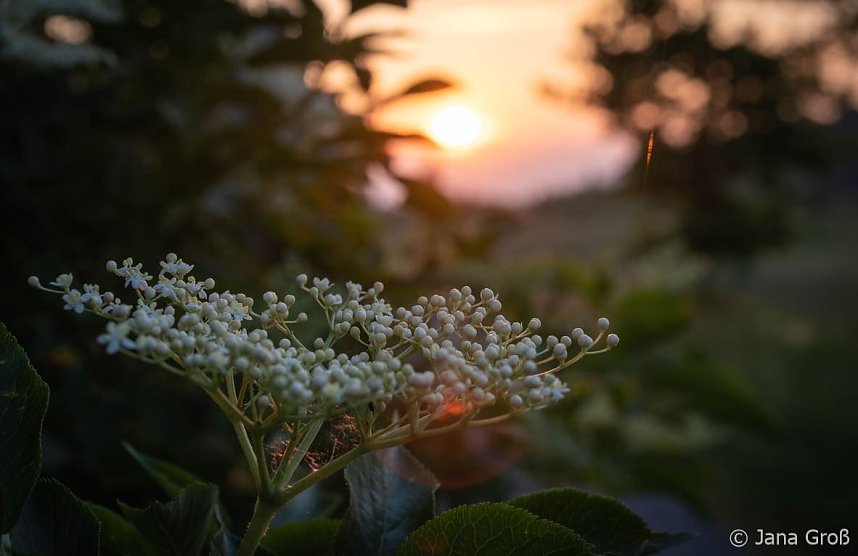 Fotografie in der VHS Artern und Sondershausen