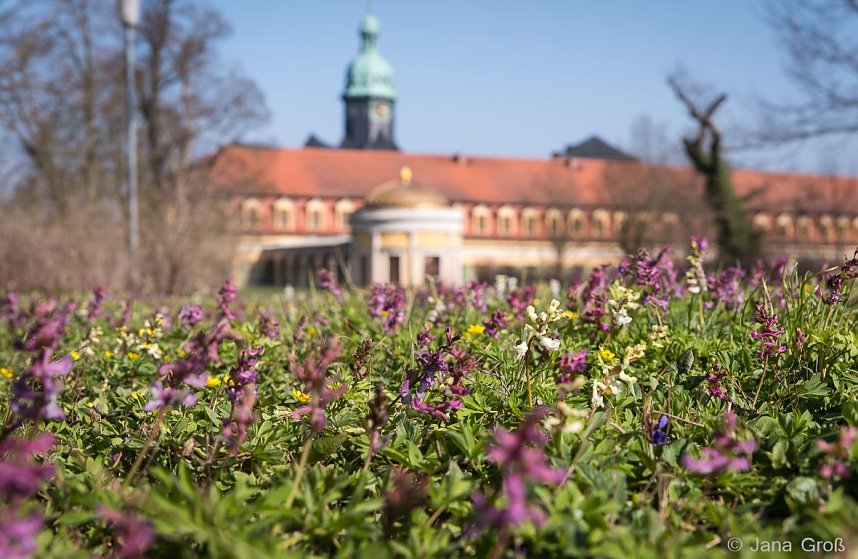 Fotografie in der VHS Artern und Sondershausen