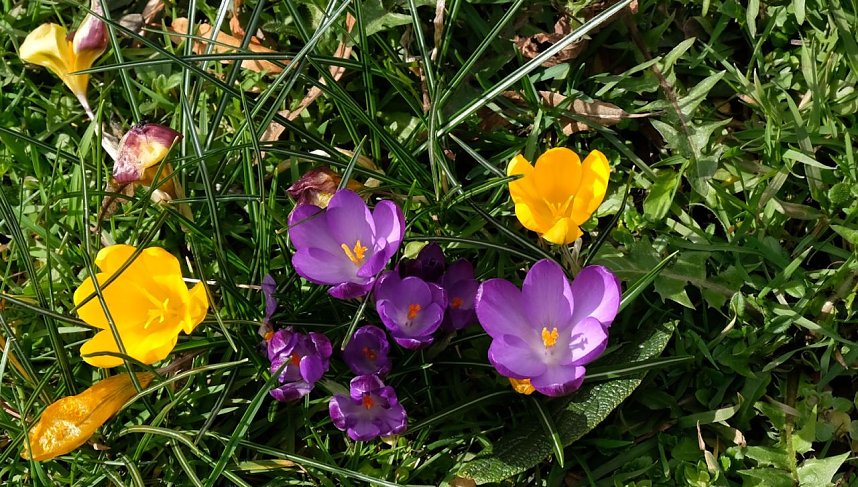 Der Sieger steht fest.