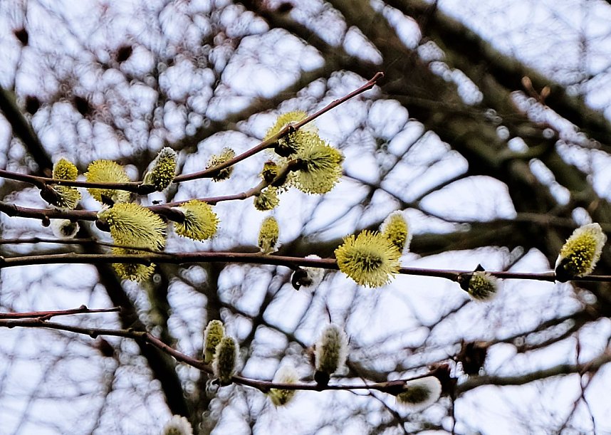 Der Sieger steht fest.