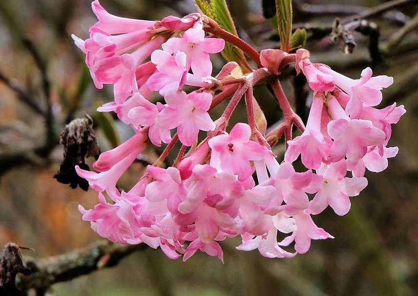 Der Sieger steht fest.