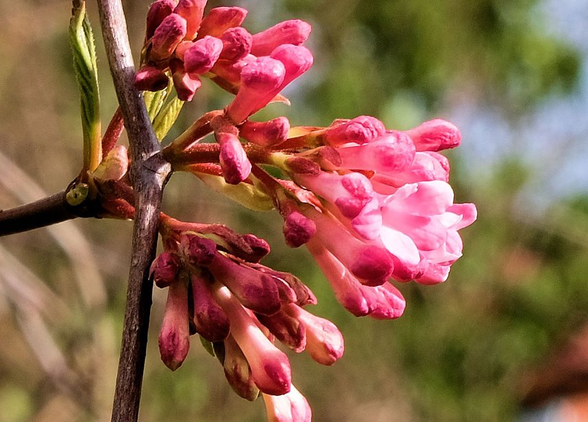 Der Sieger steht fest.