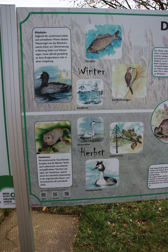 Natur und Schwimmen, das passt