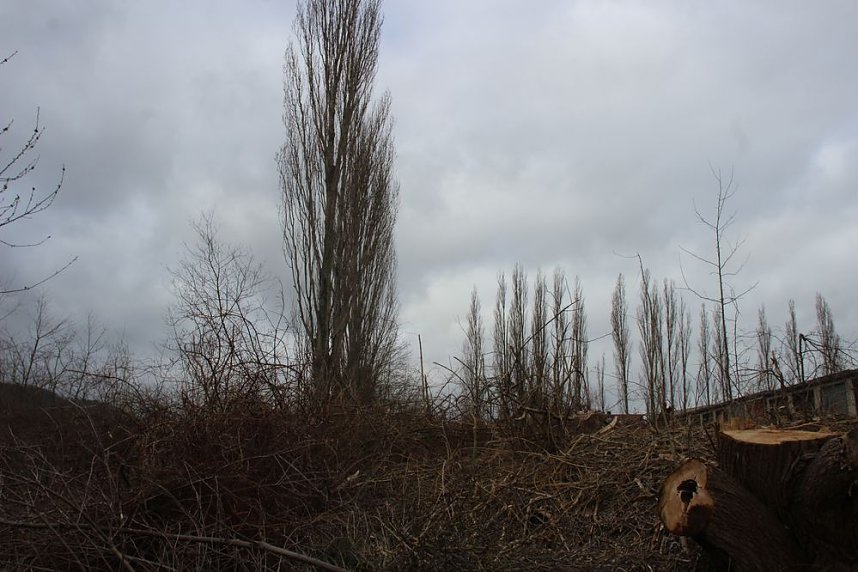Unmut im &Ouml;stertal