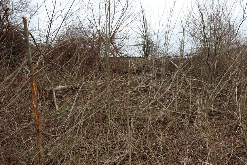 Unmut im &Ouml;stertal