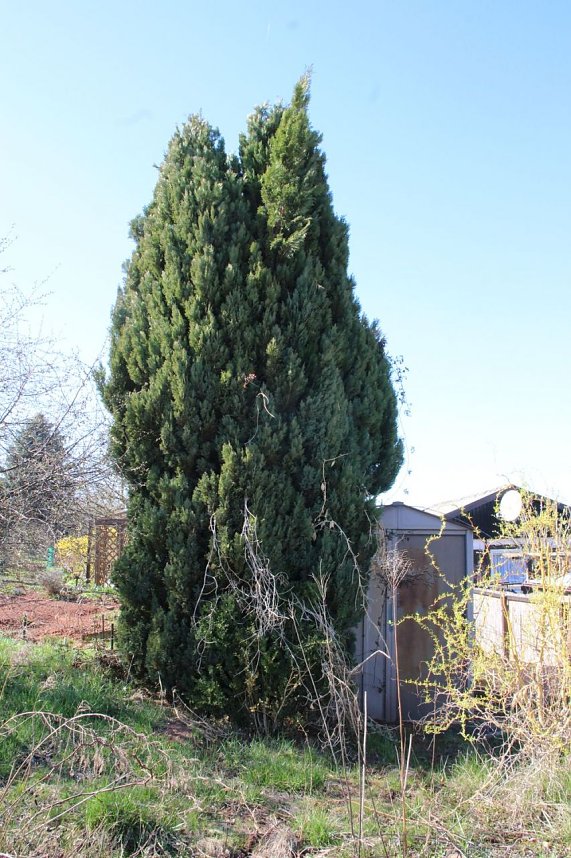 Verein k&auml;mpft gegen Leerstand
