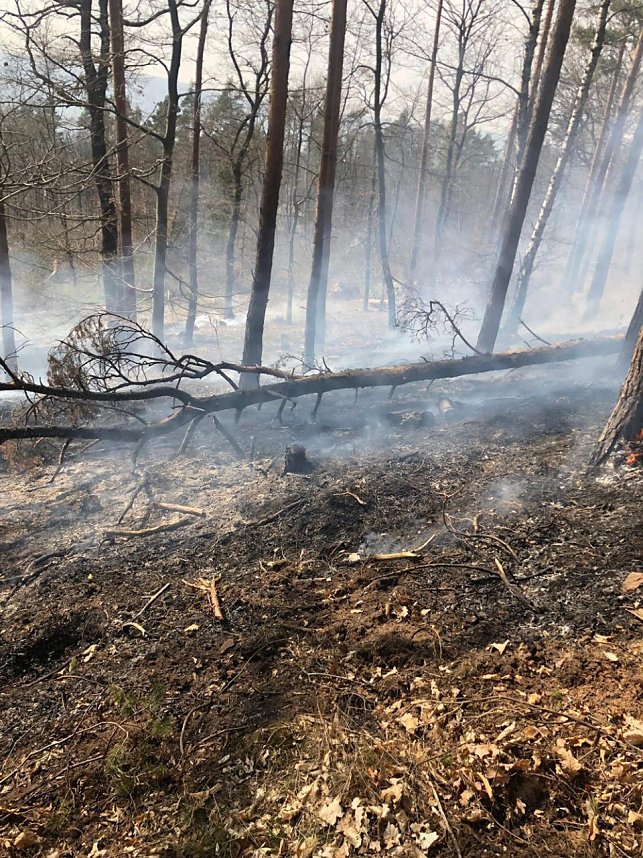 Alarm am fr&uuml;hen Nachmittag