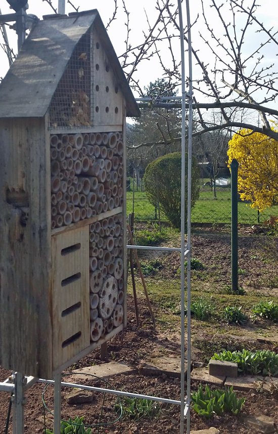 Insektenhotel gut besucht