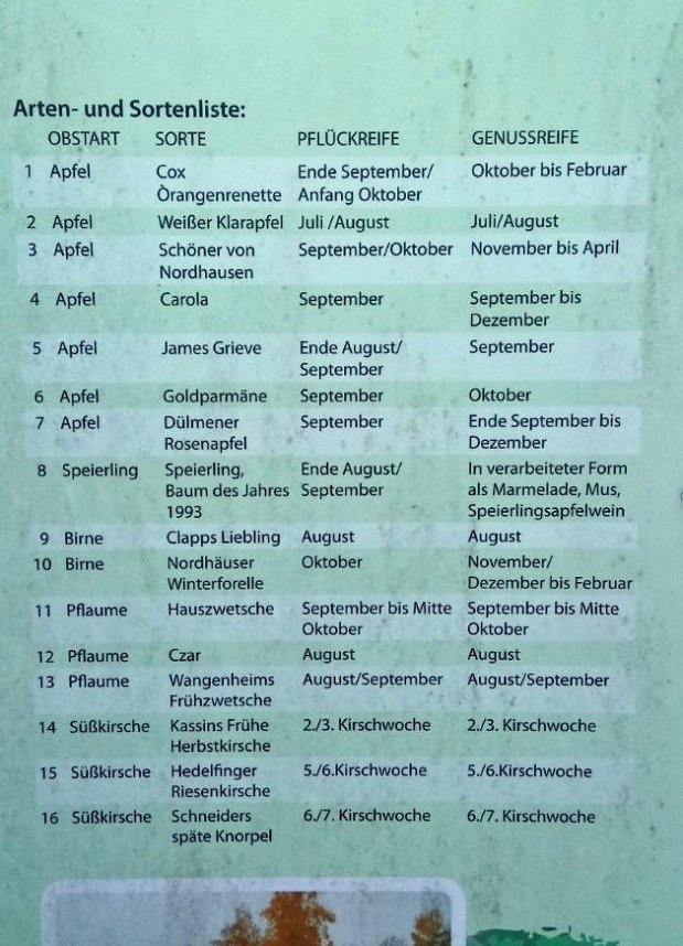 Streuobstwiese aus dem Dornr&ouml;schenschlaf erwacht