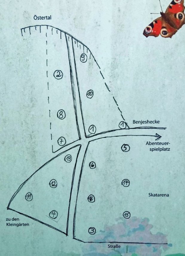 Streuobstwiese aus dem Dornr&ouml;schenschlaf erwacht