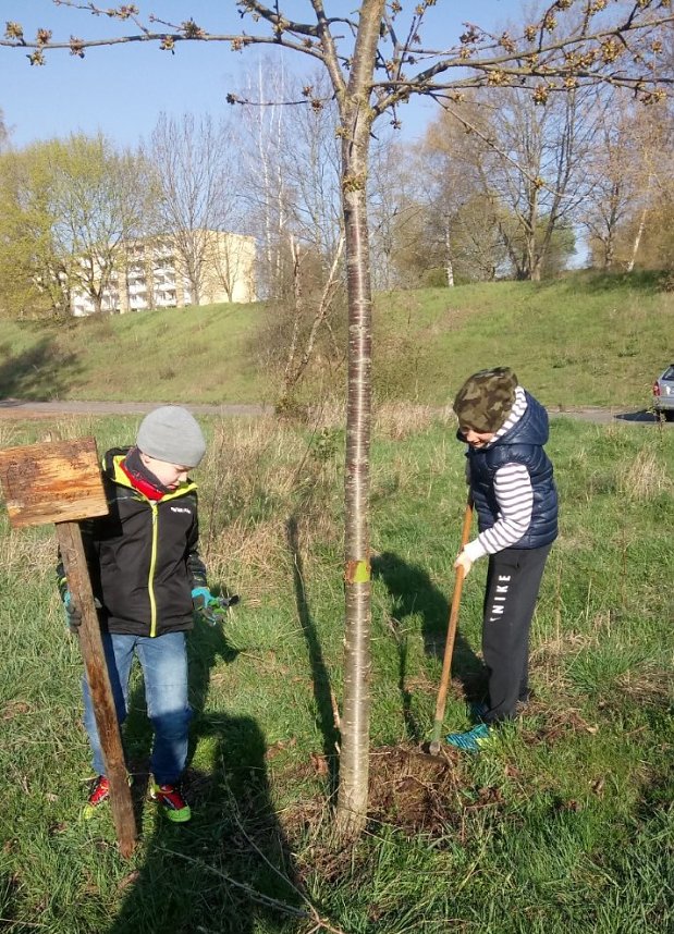 Streuobstwiese aus dem Dornr&ouml;schenschlaf erwacht