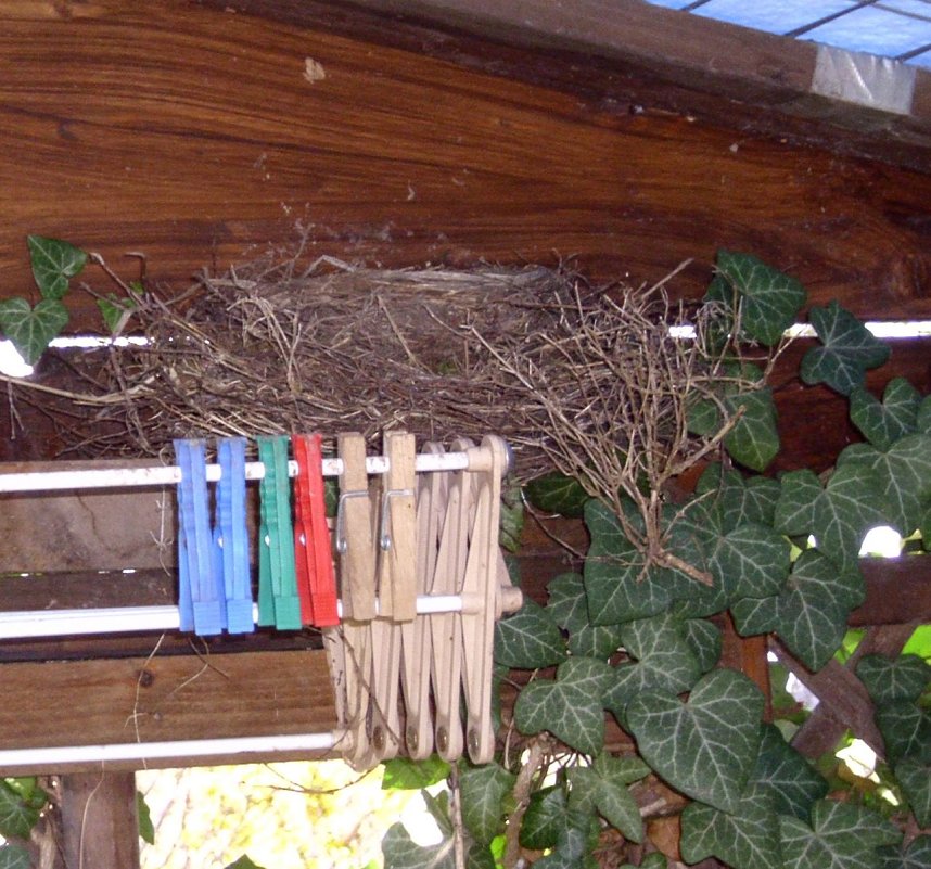 Blick &uuml;ber den Gartenzaun