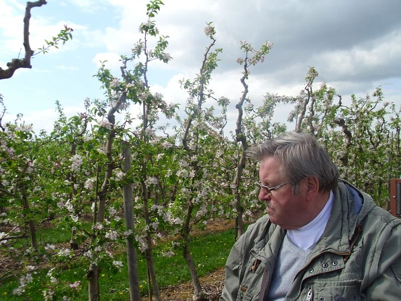 Apfelbl&uuml;tenfest in Gierst&auml;dt sehr gut besucht