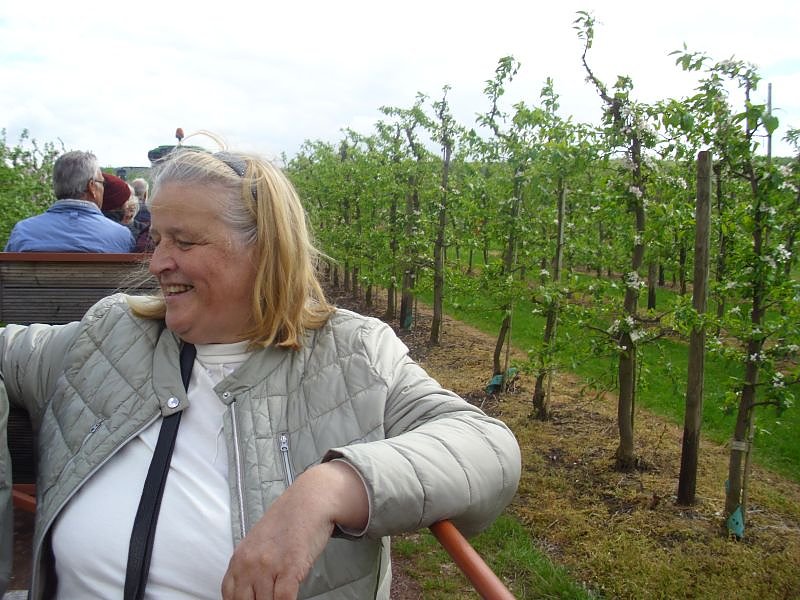 Apfelbl&uuml;tenfest in Gierst&auml;dt sehr gut besucht