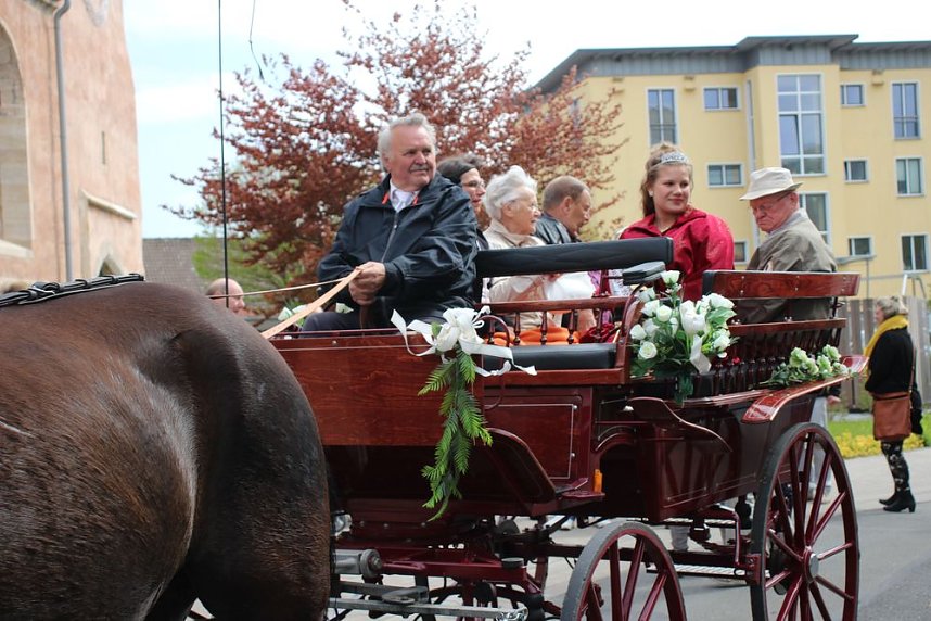 1. Sondersh&auml;user Blutbuchen�K&ouml;nigin gekr&ouml;nt