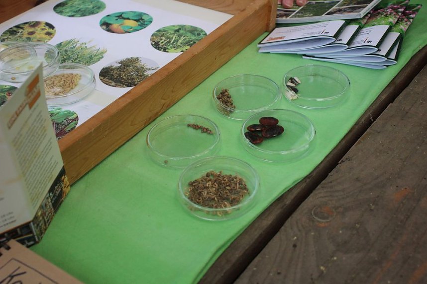 Wieder Baumfest im &Ouml;stertal