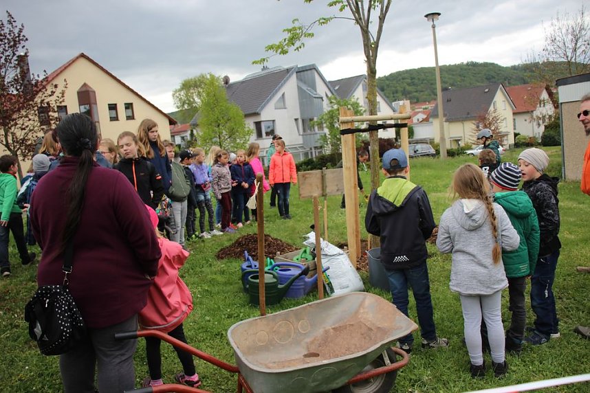 Wieder Baumfest im &Ouml;stertal