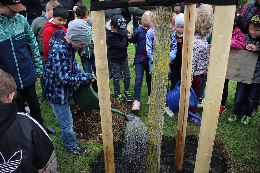 Wieder Baumfest im &Ouml;stertal