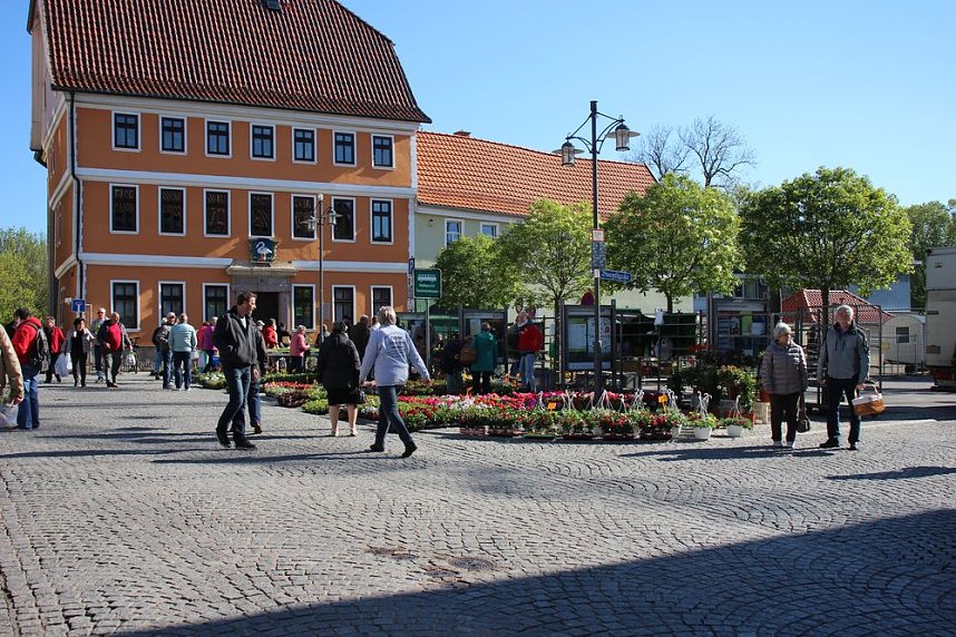 Ansturm auf Sondersh&auml;user Blumen-, Pflanzen- und Staudenmarkt