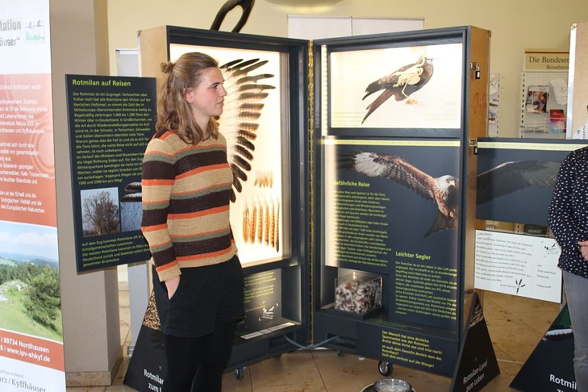 Rotmilan Wanderausstellung er&ouml;ffnet