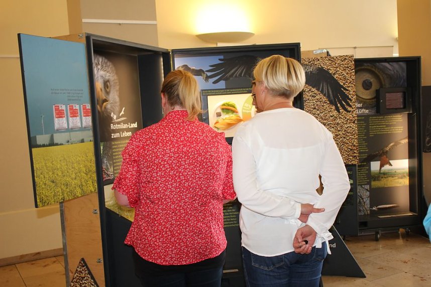 Rotmilan Wanderausstellung er&ouml;ffnet